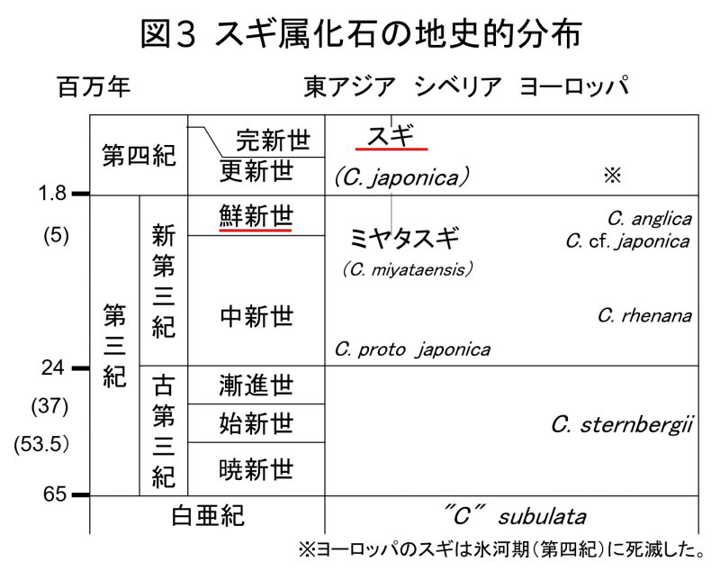 図03