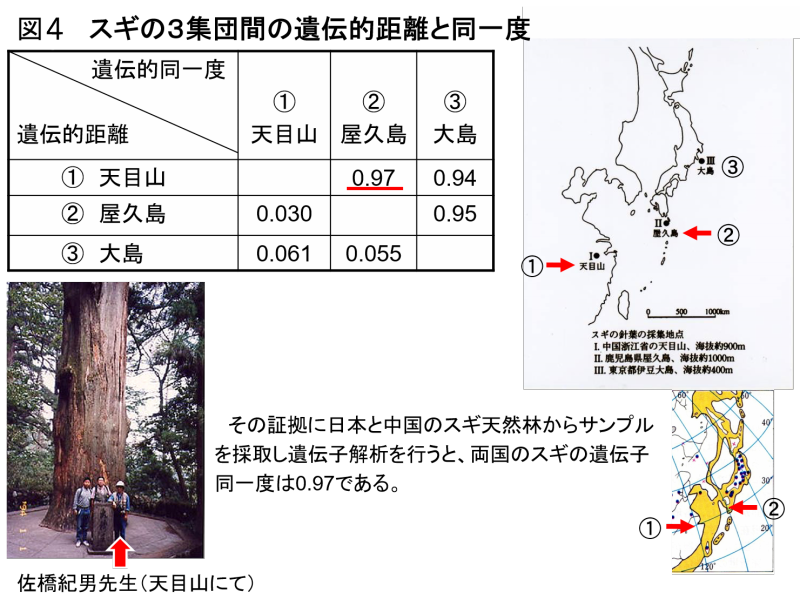図04