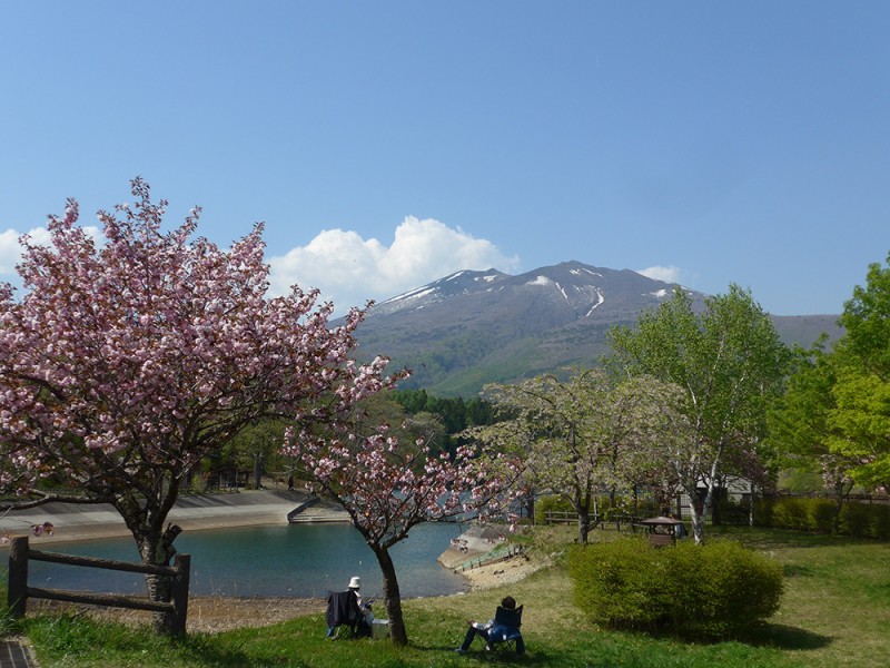 春を告げる長老湖の桜（2022-05-05 院長撮影）