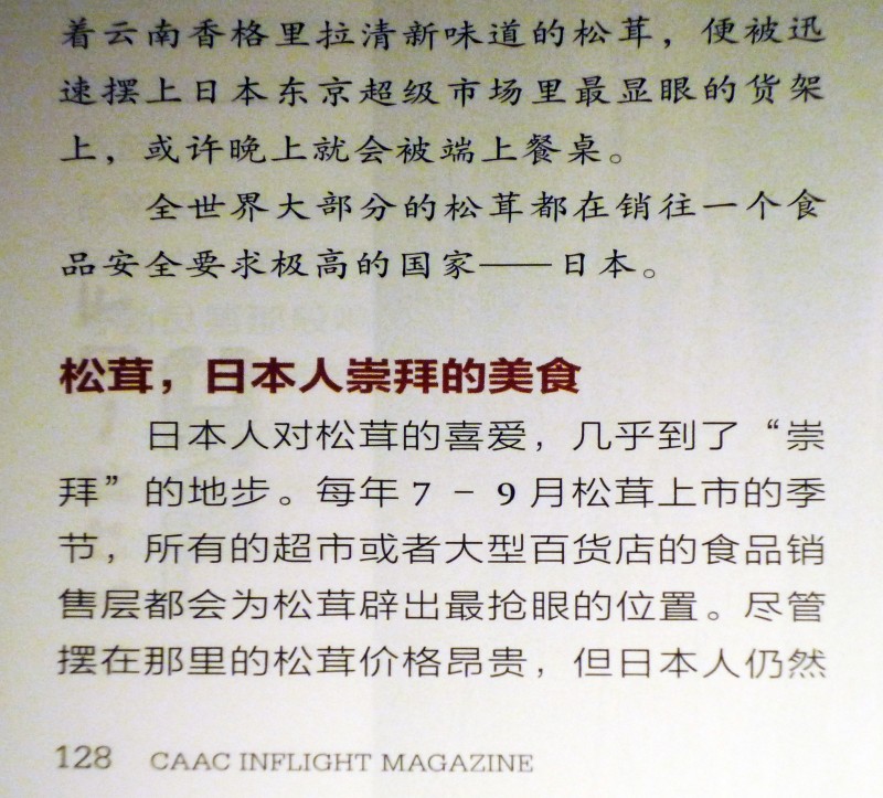 図04 P.5 L1000937【構成用】