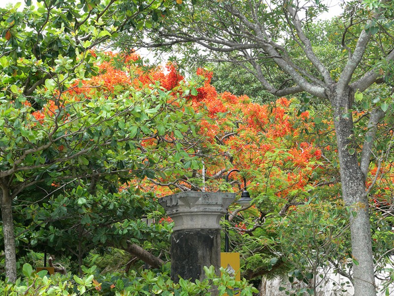 図12