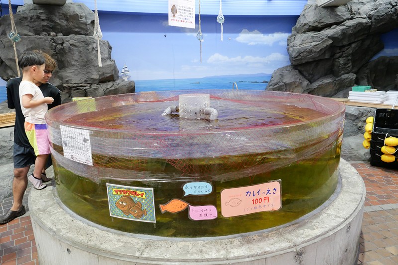 図20 活魚水槽コーナー