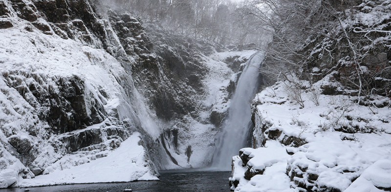 (2025年1月17日、院長撮影)