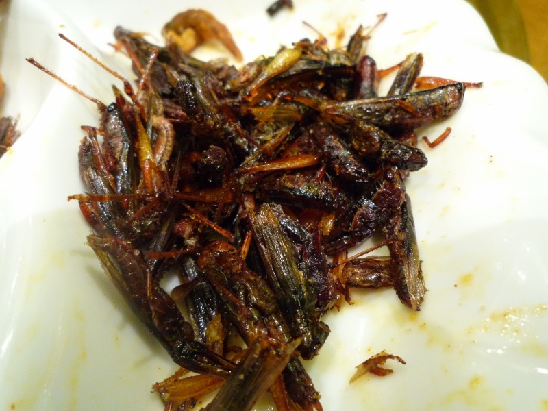 図01 L1010489(2012年 昆明)